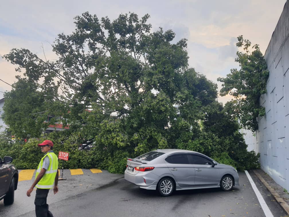 不用做头//大都会-甲洞地区昨午下冰雹树倒