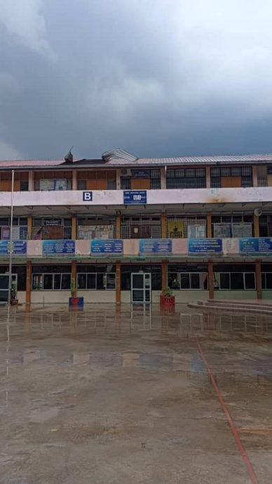 不用做头//大都会-甲洞地区昨午下冰雹树倒