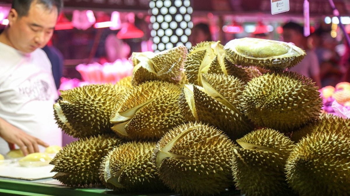 不能只靠中国买 沈志勤:大马榴梿应卖去澳洲美国