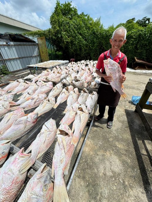 东(已签发):天气多变影响海产制品产量