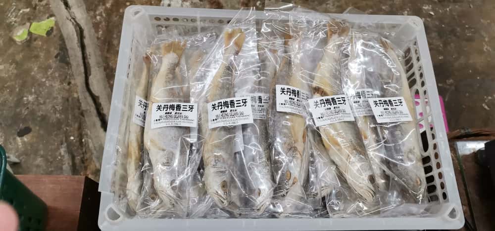 东(已签发):天气多变影响海产制品产量