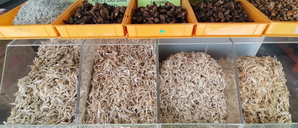 东(已签发):天气多变影响海产制品产量