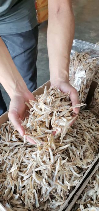 东(已签发):天气多变影响海产制品产量