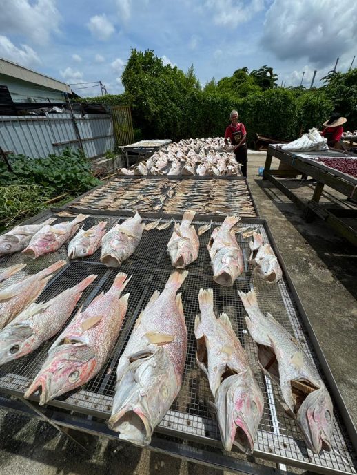 东(已签发):天气多变影响海产制品产量