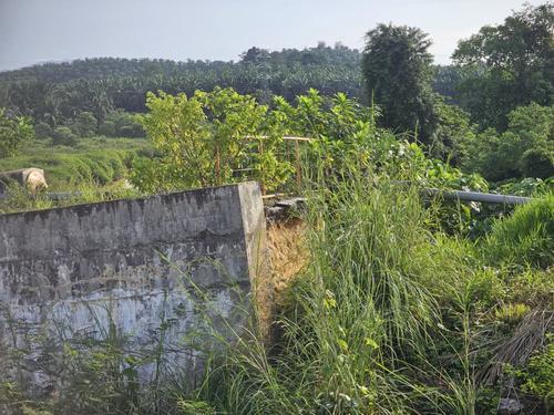 东(已签):丹州政府盼国家遗产局加速对历史悠久的瓜拉吉赖苏丹依斯迈吊桥的修复。