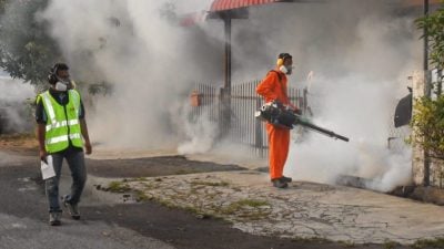 柔骨痛热症例同比上周降24.8%   增1死亡例