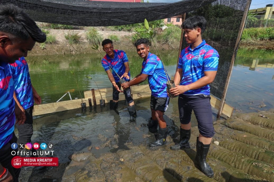 东：登嘉楼马来西亚大学首次在新生入学周举办红树林再植活动
