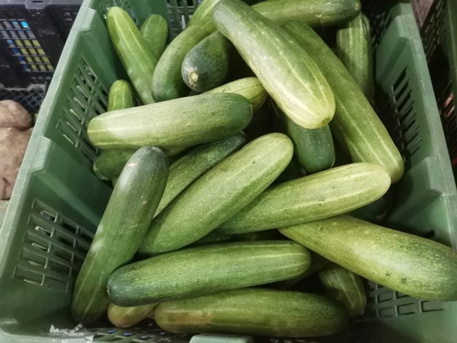 东:(已签发)关丹雨多菜价仍稳 菜贩:其他州水灾或推高下周价格