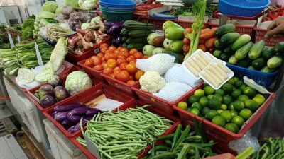 关丹多雨菜价平稳  他州水灾或影响供应