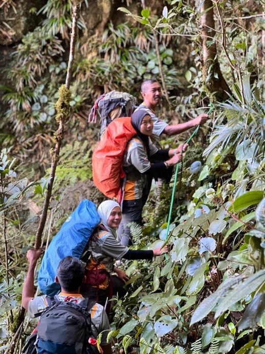 东:(已签发)彭消拯局:今年截至8月11宗登山救援