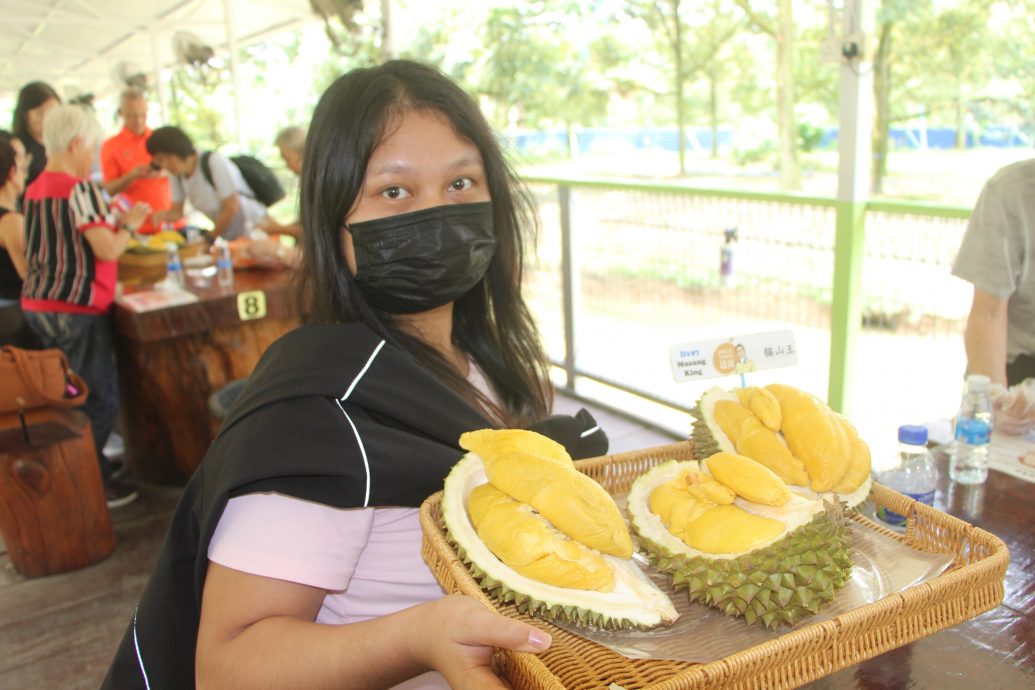 东：（已签发）榴梿季节又来了，游客涌入劳勿大快朵颐