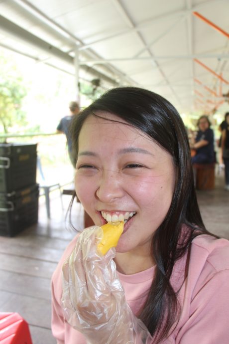 东：（已签发）榴梿季节又来了，游客涌入劳勿大快朵颐