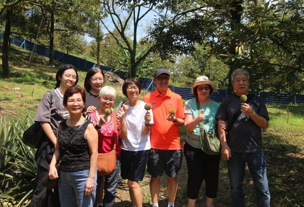 东：（已签发）榴梿季节又来了，游客涌入劳勿大快朵颐