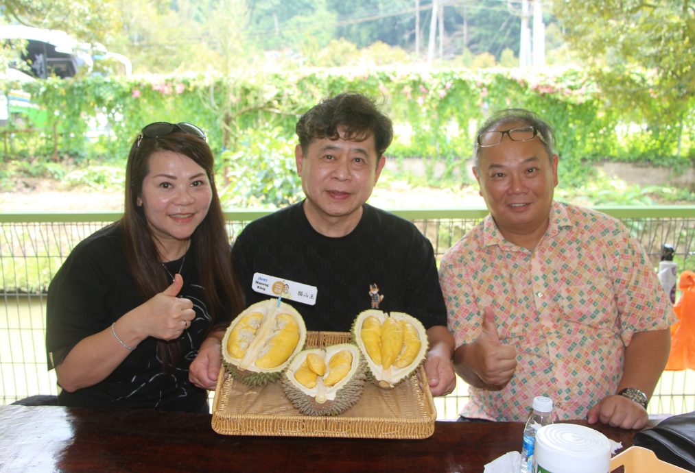 东：（已签发）榴梿季节又来了，游客涌入劳勿大快朵颐