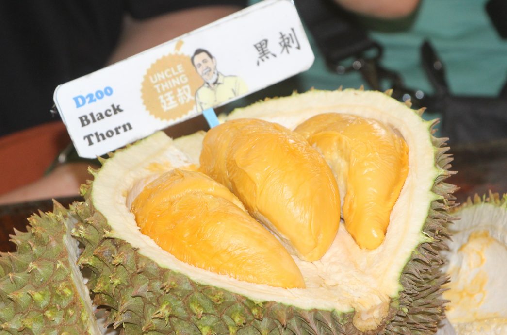 东：（已签发）榴梿季节又来了，游客涌入劳勿大快朵颐