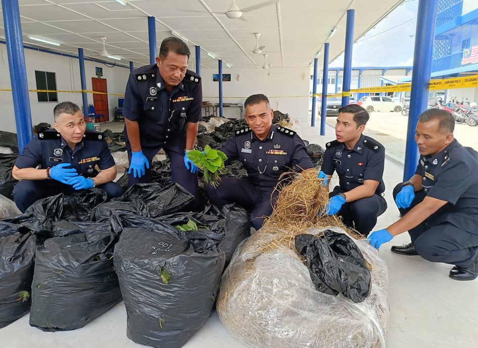 东：（已签发）贩毒集团用物流平台货车运送哥冬叶 藏在枯草堆中蒙混过关
