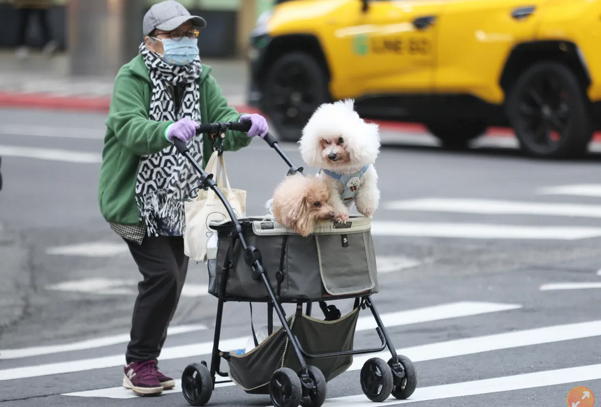 丢掉瓶瓶罐罐！“它”才是最好的抗老保养品