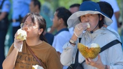 中国有多爱大马榴梿?农长:1年狂炫11.9亿令吉!