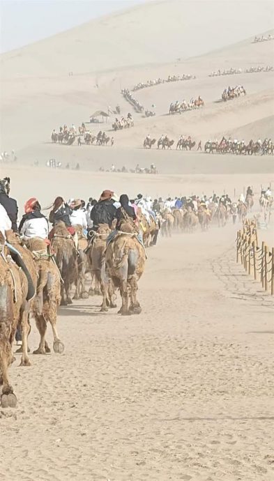中国黄金周长假期 敦煌鸣沙山又双叒叕堵骆驼