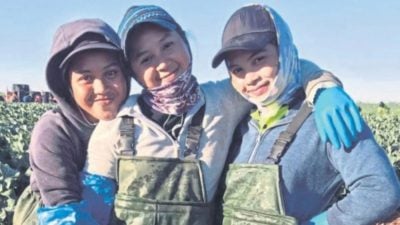 为改善家境赴澳务农 丹州三姐妹月入逾万