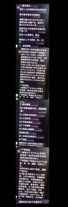 于朦胧尸检截图流出 法医分析“非单纯坠落”