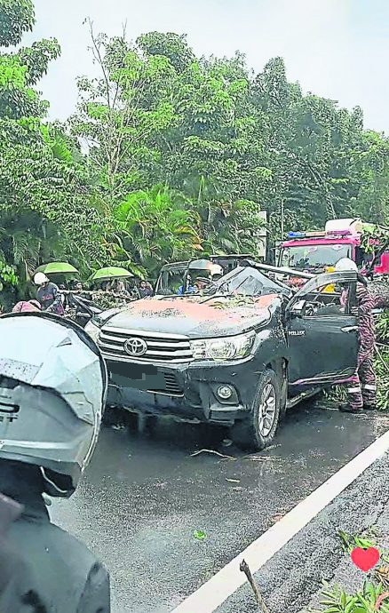 云顶半山倒树压毁轿车酿一死 死者雇主控诉政府漠视人命