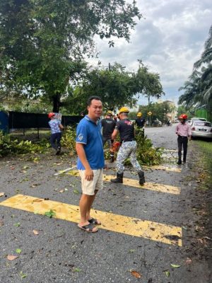 仁嘉隆狂风暴雨 近20棵大树倒塌 十余间民宅屋顶被掀