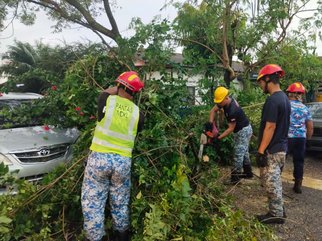 仁嘉隆狂风暴雨 近20棵大树倒塌 十余间民宅屋顶被掀