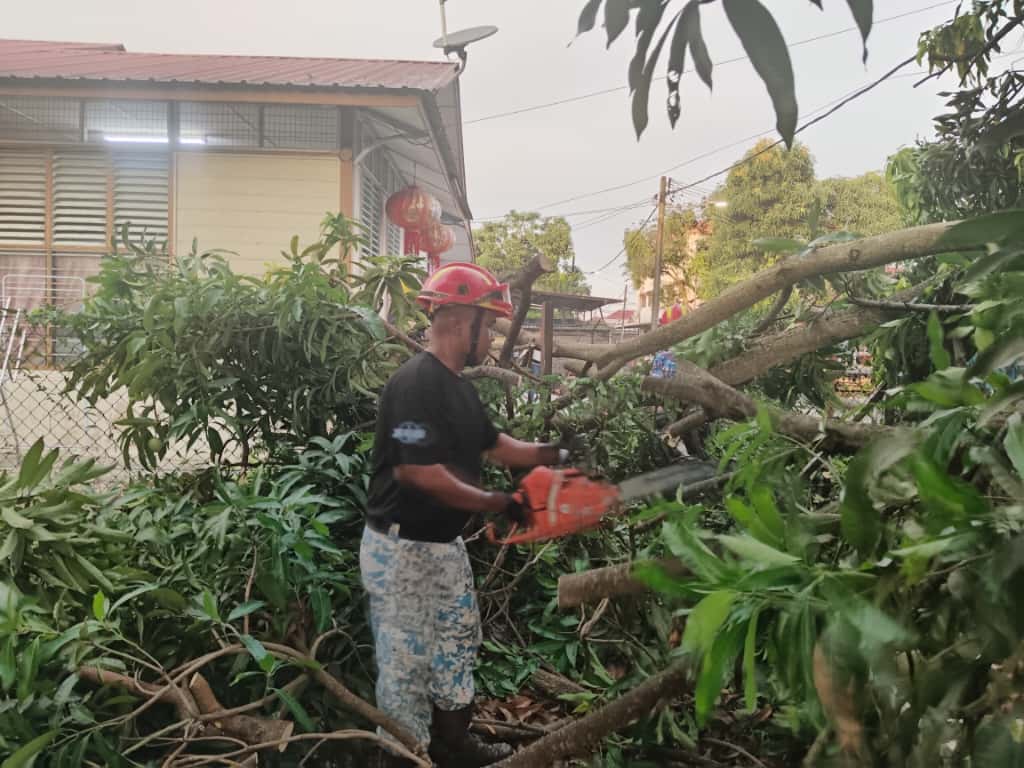 仁嘉隆狂风暴雨 近20棵大树倒塌 十余间民宅屋顶被掀
