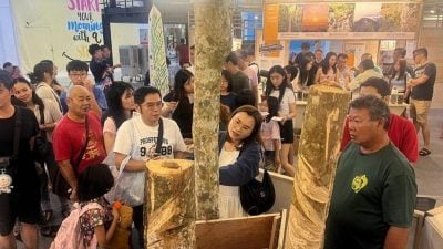 榕吉新村怀旧展夺目登场 橡胶树故事打动观众心
