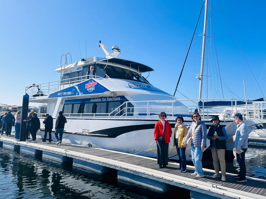 供星洲网:花城内外:在印度洋看鲸鱼(丘丽莹)