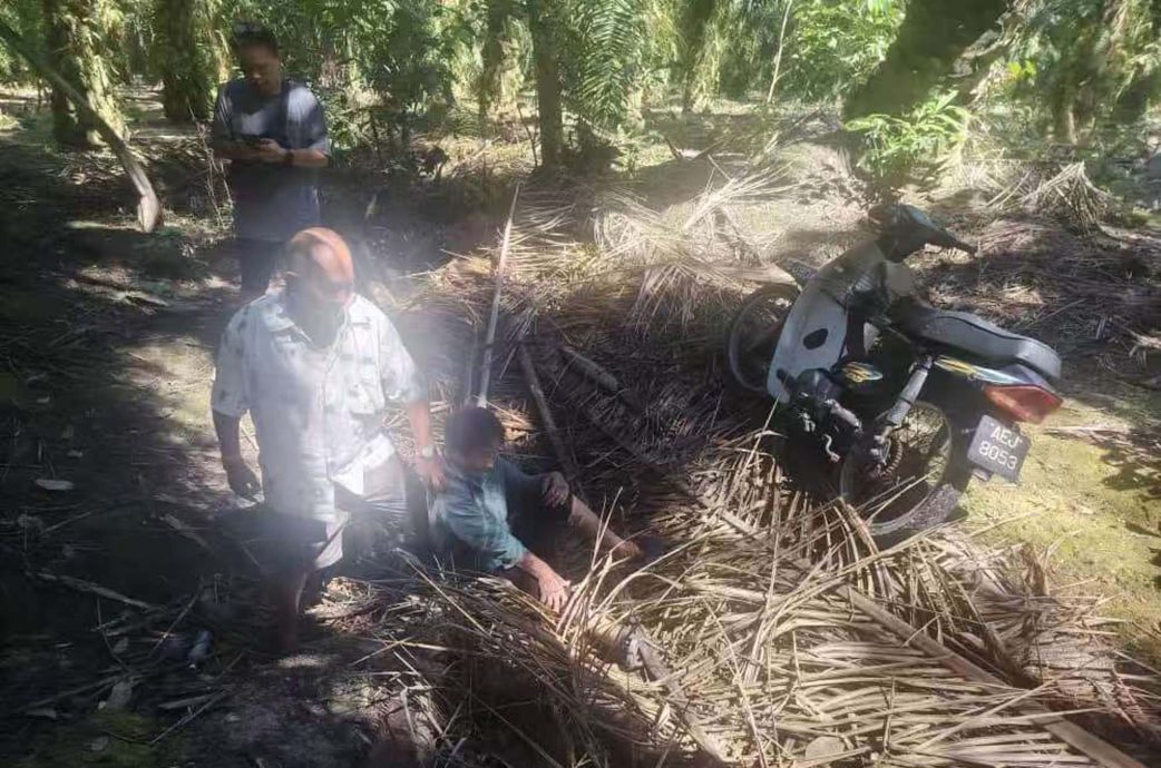 动弹不得靠吃青木瓜保命 老妇受困油棕园3天获救 