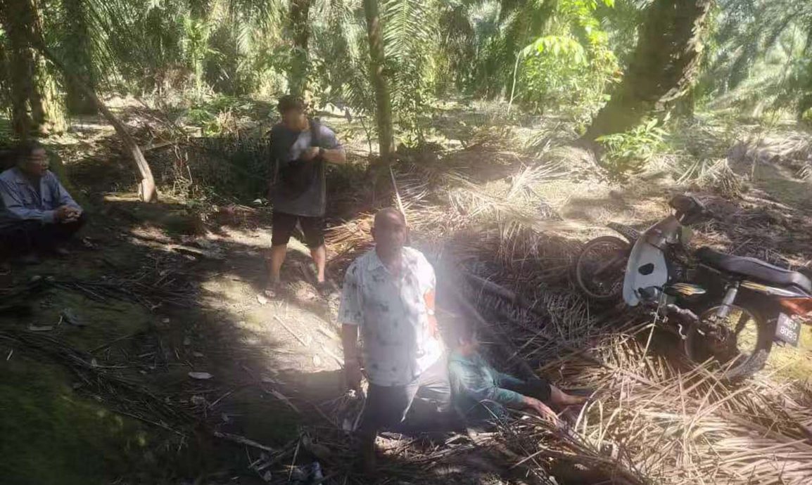 动弹不得靠吃青木瓜保命 老妇受困油棕园3天获救 