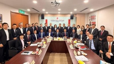 华总中委会议一致委任      华团9活跃者进中委会