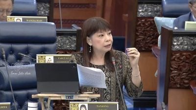 SARA合作商店达8400家覆盖城乡 林慧英：参与商家须符5条件