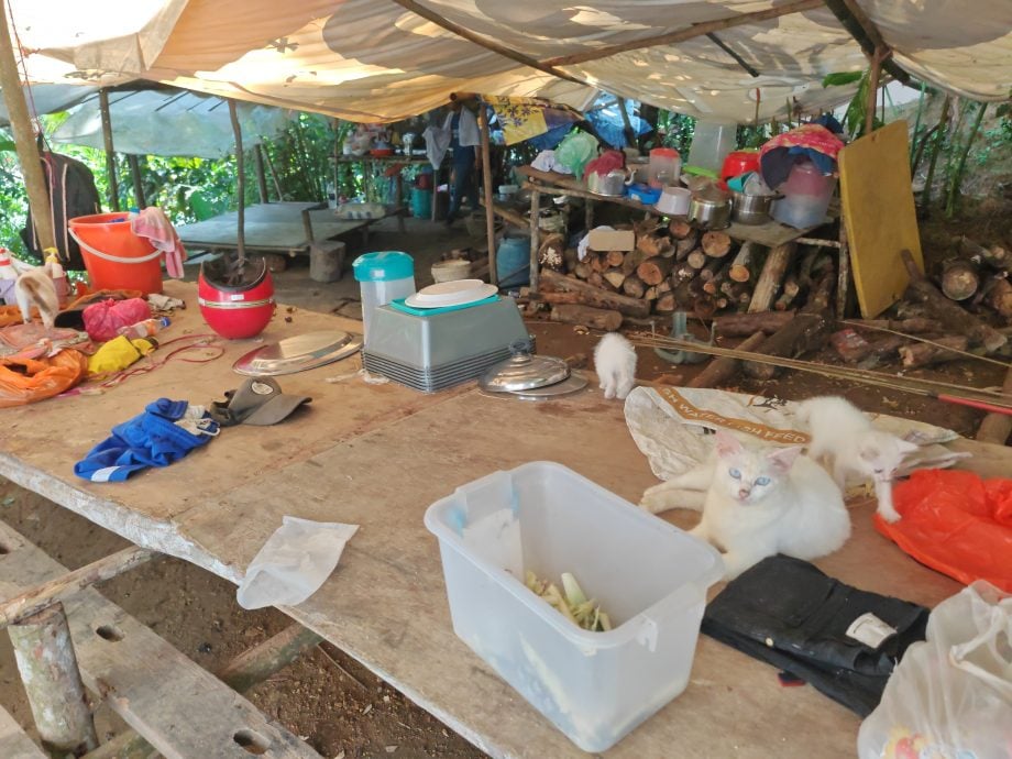 原住民孩子多，需更多米粮糊口