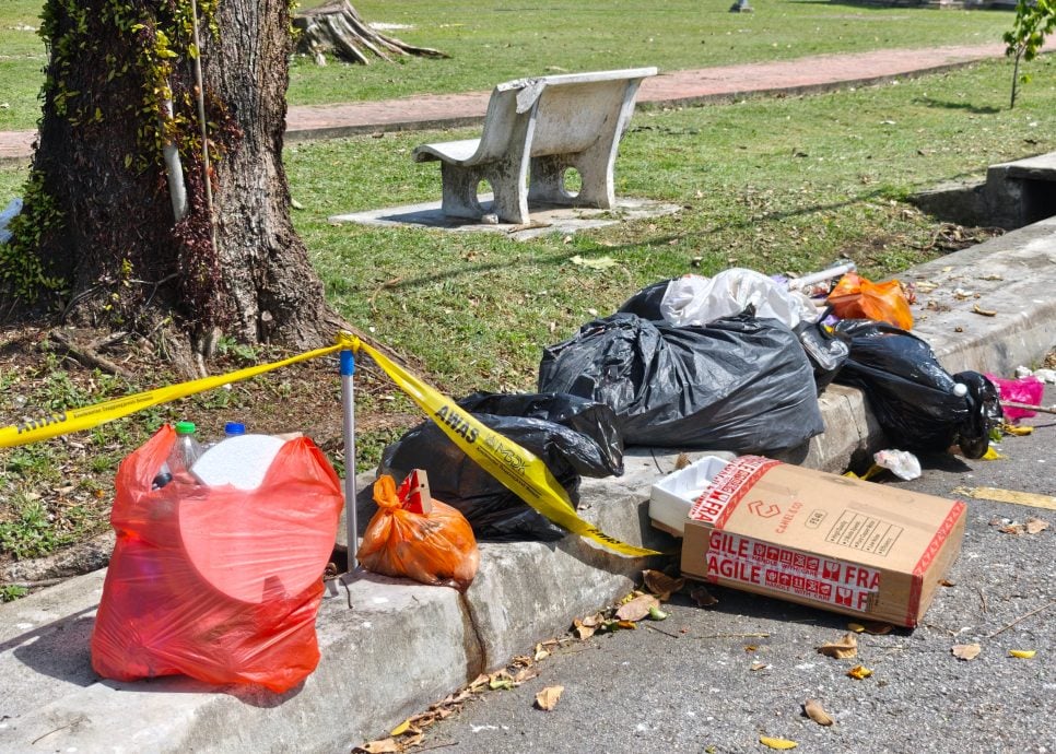 可做版头(大都会)巴生市政厅提升9公园草场/6图