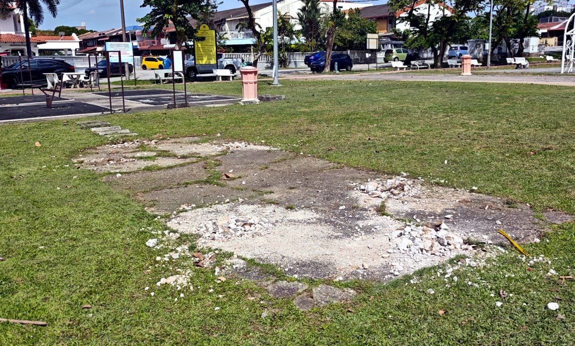 可做版头(大都会)巴生市政厅提升9公园草场/6图