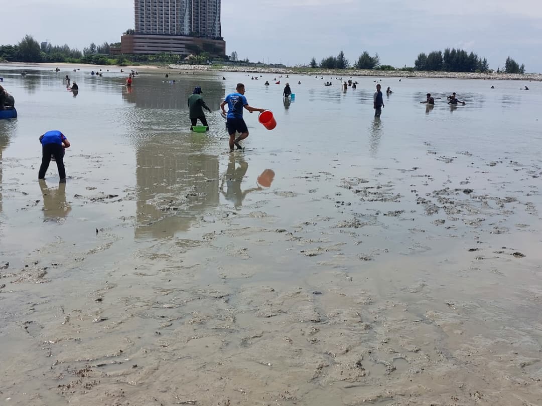 吉里望海滩捉西蚶乐