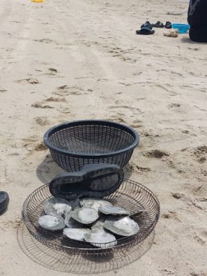 吉里望海滩捉西蚶乐