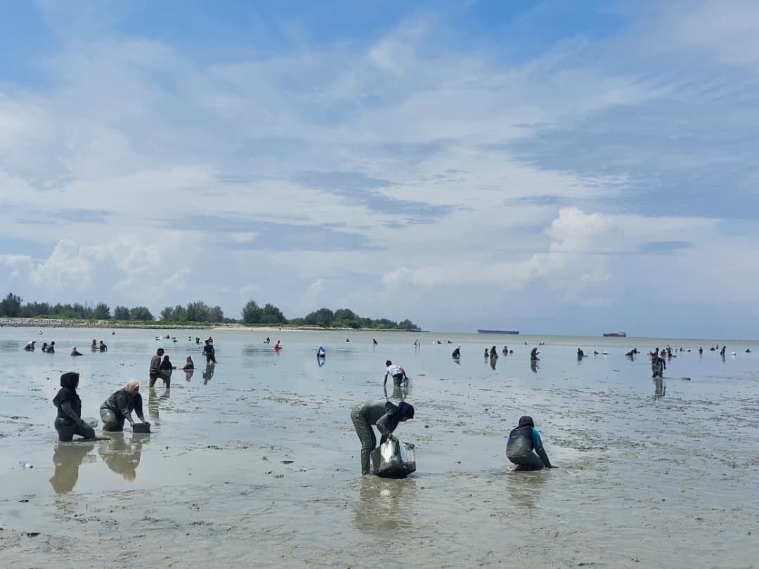 吉里望海滩捉西蚶乐