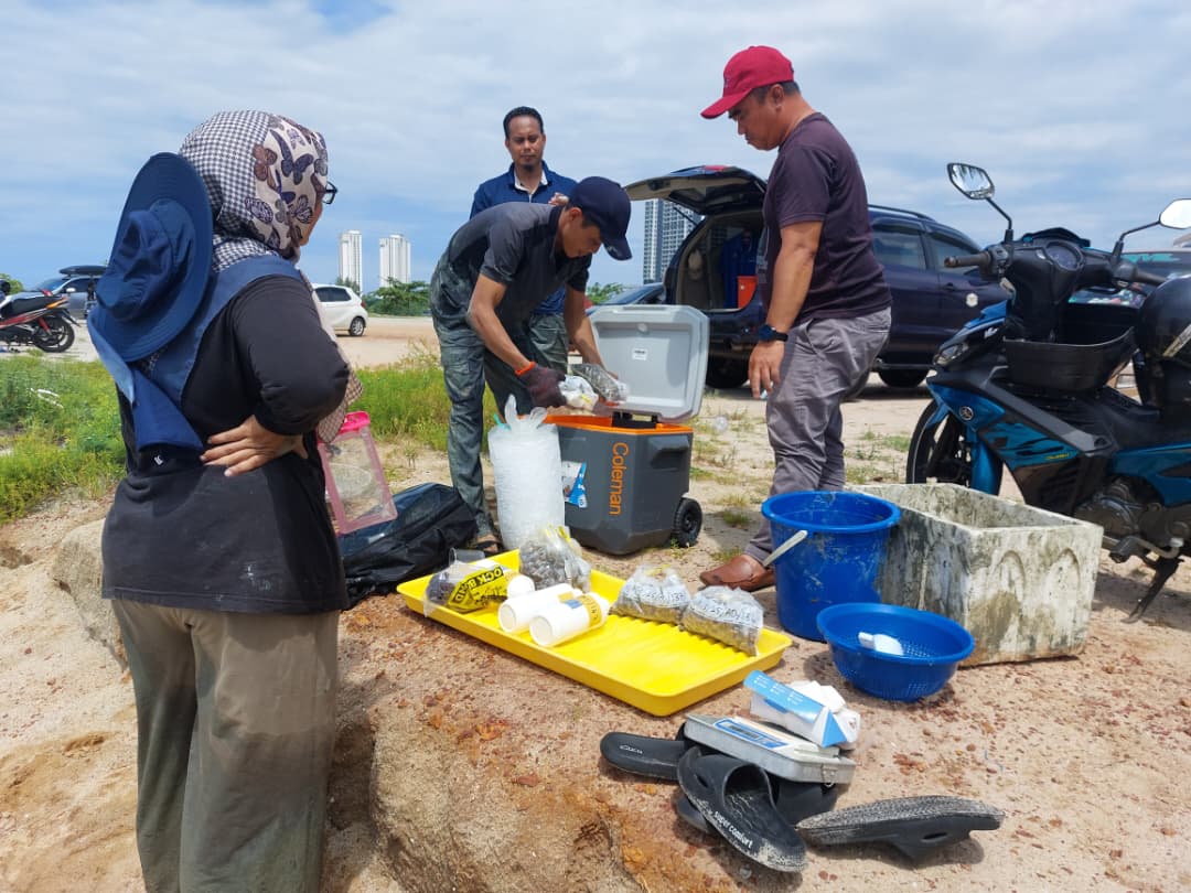 吉里望海滩捉西蚶乐