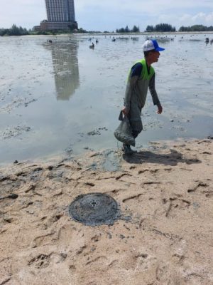 吉里望海滩捉西蚶乐