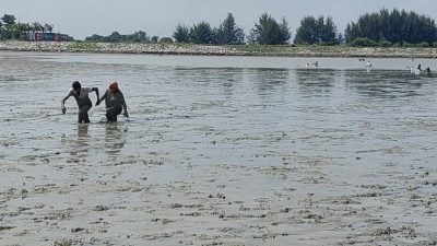 吉里望海滩捉西蚶乐