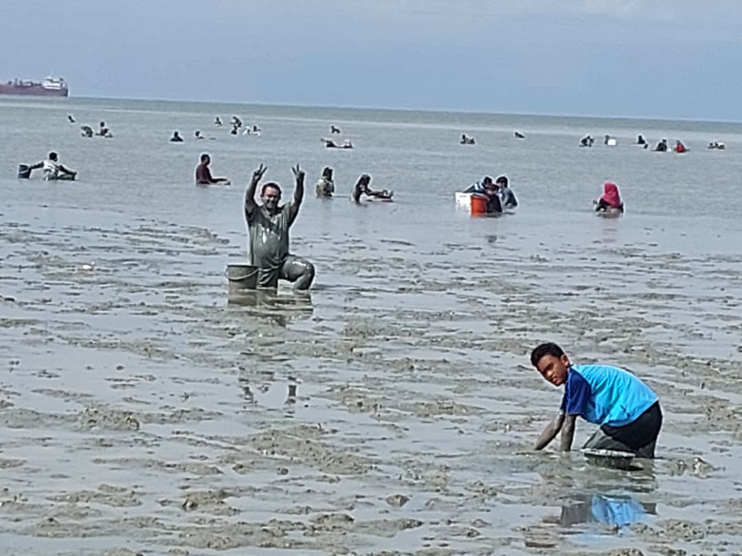 吉里望海滩捉西蚶乐