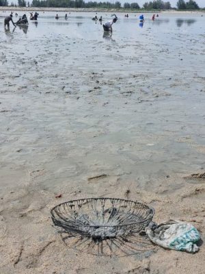 吉里望海滩捉西蚶乐