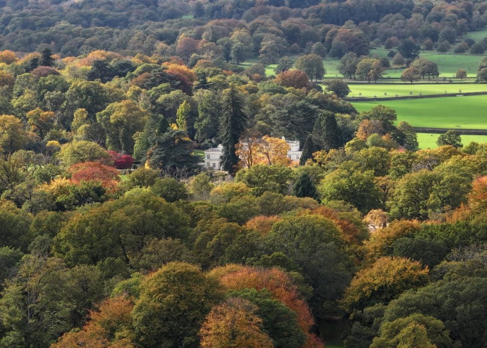 吹哨人回忆录爆内幕! 安德鲁王子性丑闻越滚越大