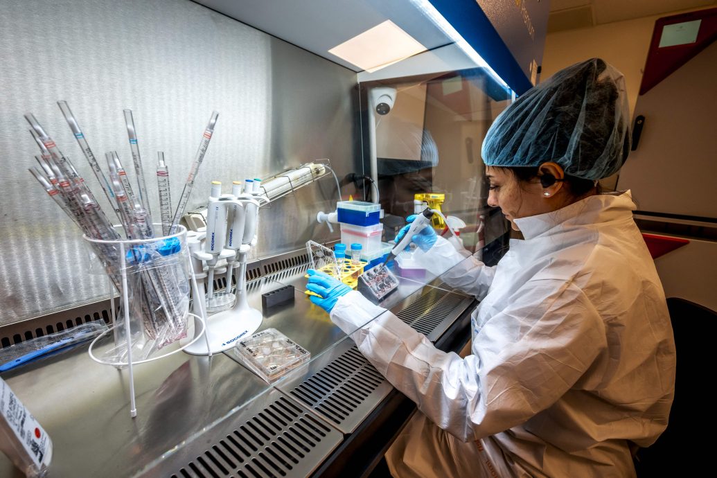 培育“迷你人脑”为电脑提供动力 科学家相信脑细胞处理器未来取代晶片