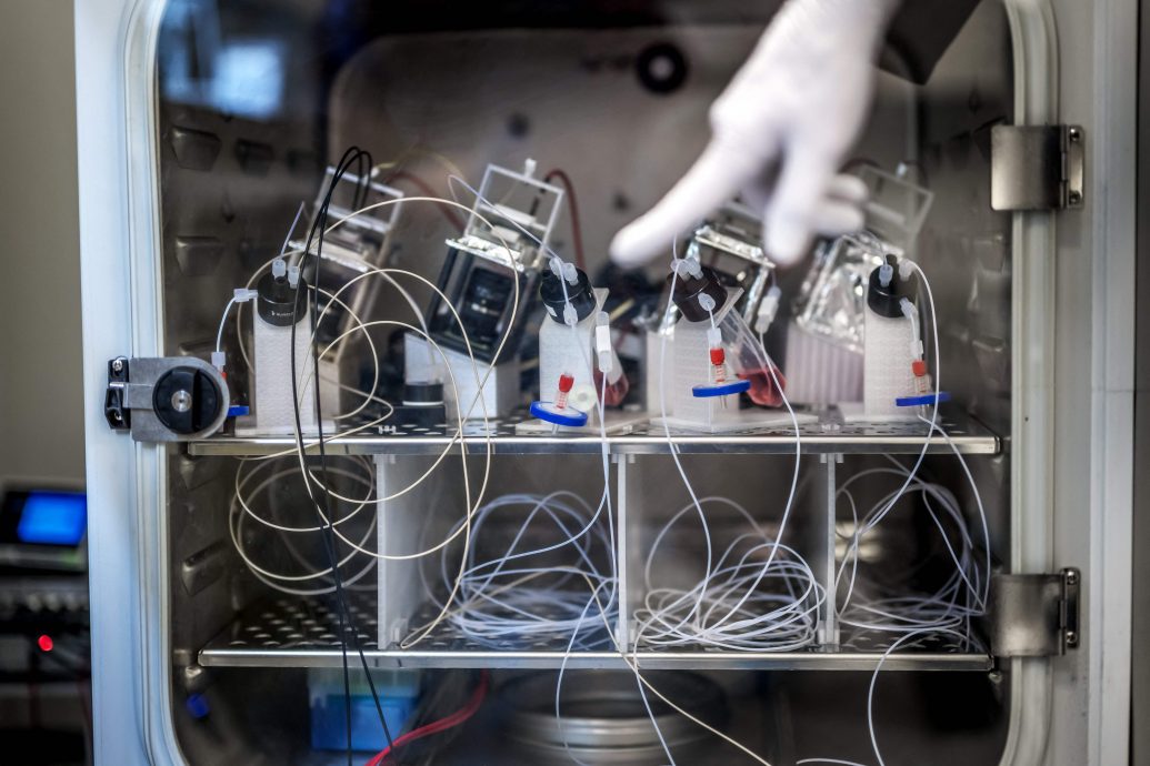 培育“迷你人脑”为电脑提供动力 科学家相信脑细胞处理器未来取代晶片