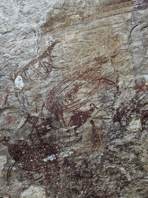 大都会 // 10月15日学海学记专题,七区共用。必下。